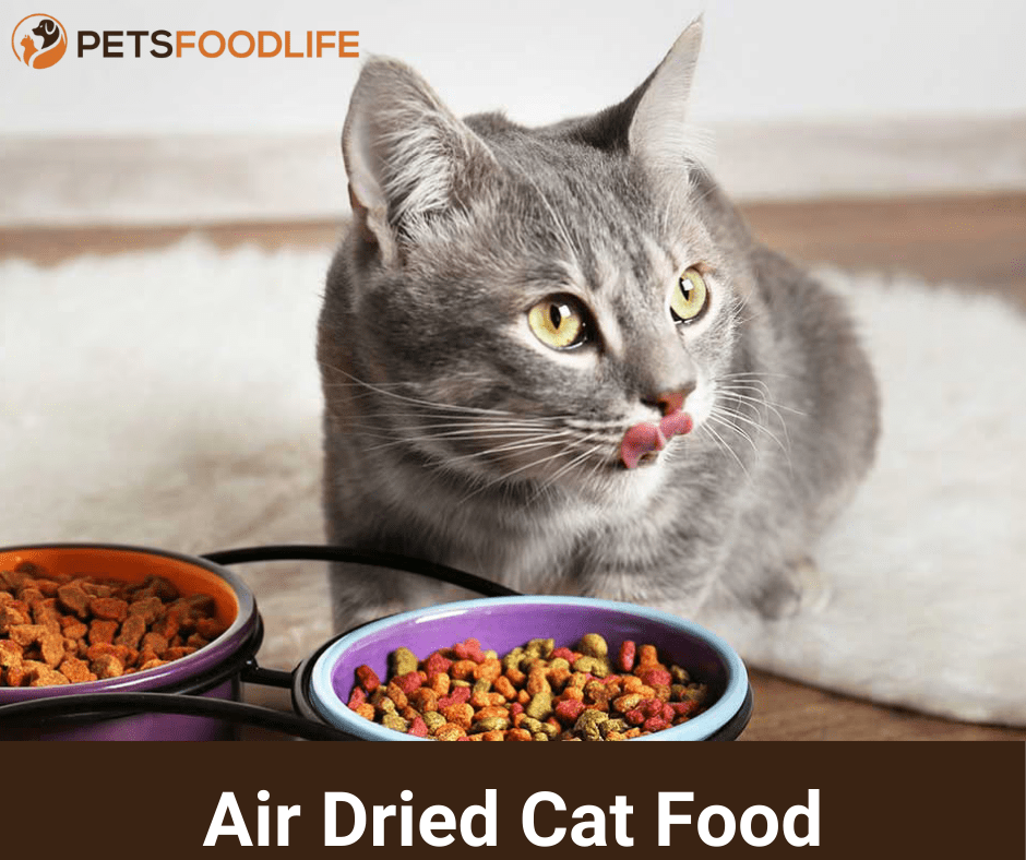 Premium Air Dried Cat Food for Feline Health