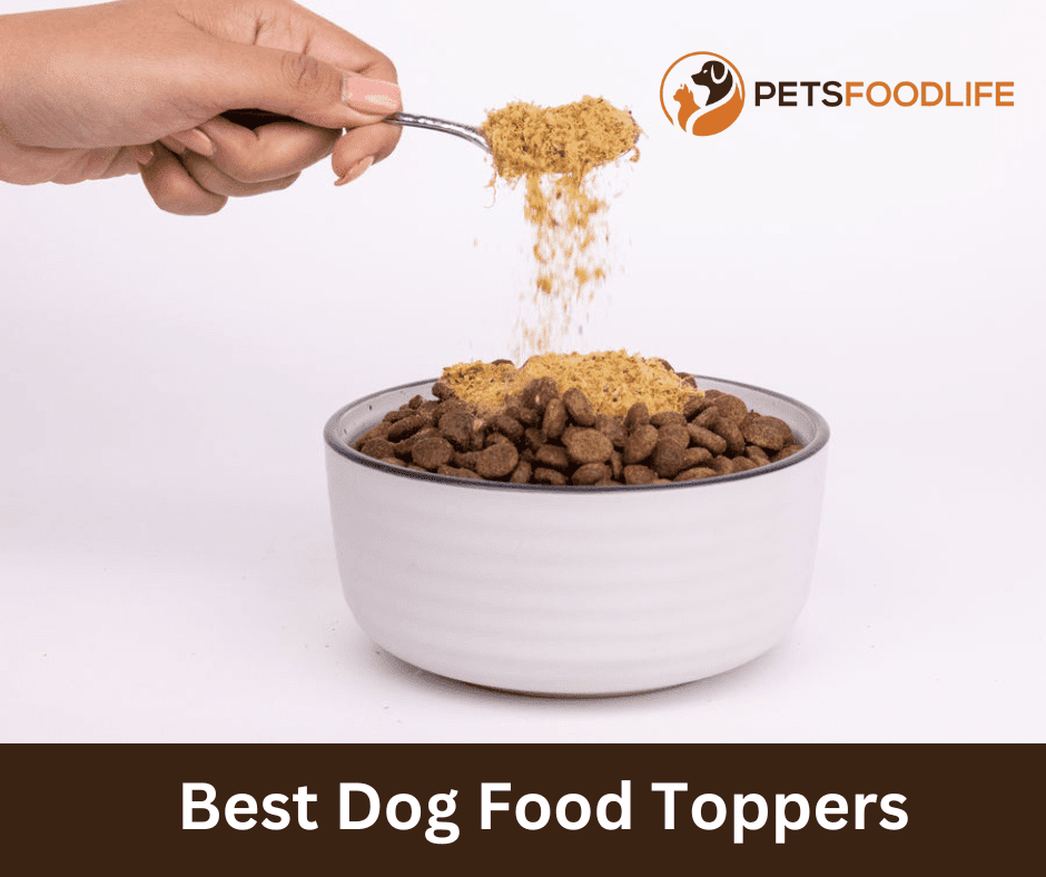 Best dog food toppers