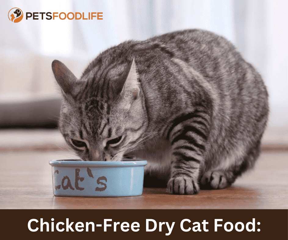 Chicken-Free Dry Cat Food: The Best Alternatives for Your Cat