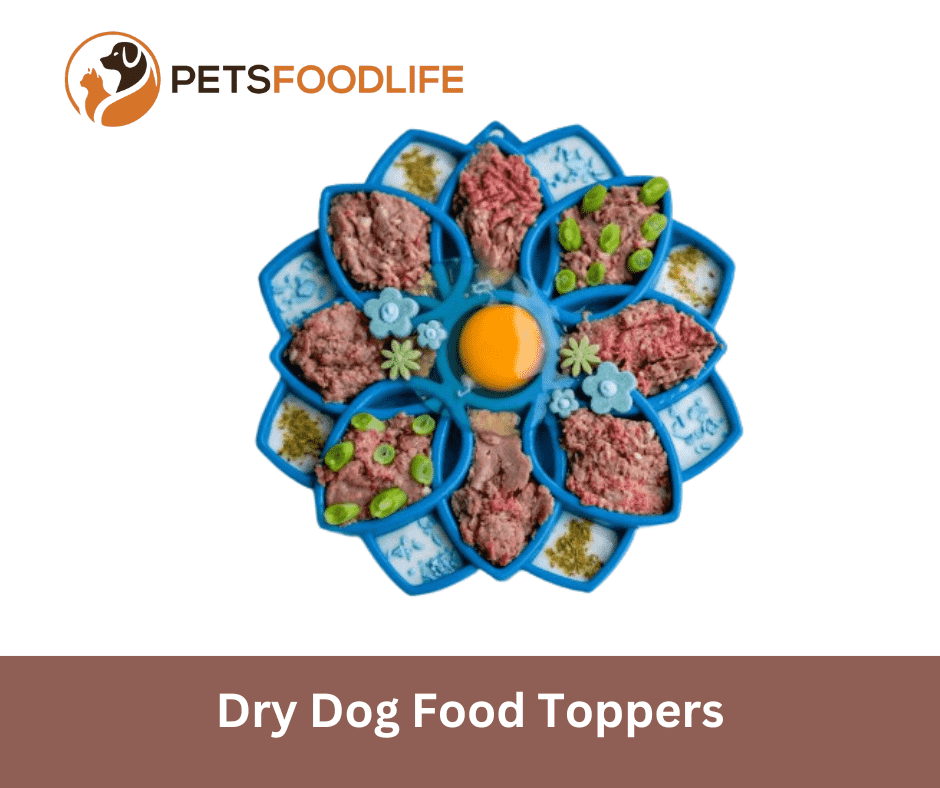 Dry Dog Food Toppers