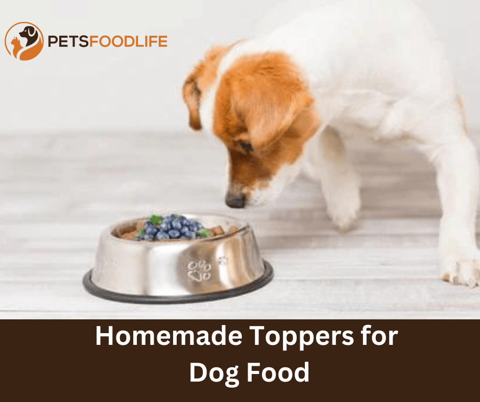 Homemade Toppers for Dog Food