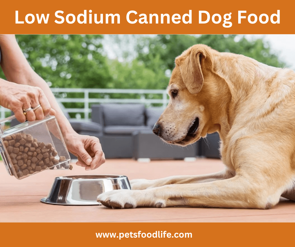 Low Sodium Canned Dog Food