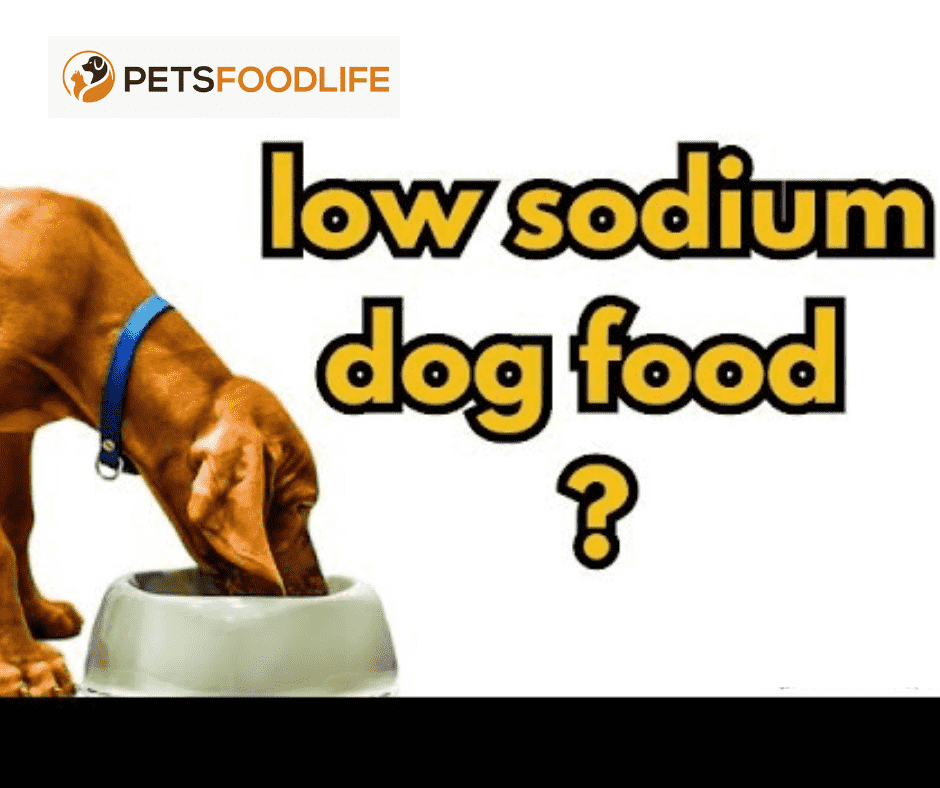 Low Sodium dog food