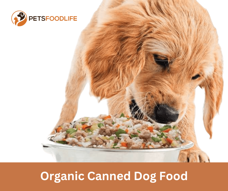 Organic Canned Dog Food