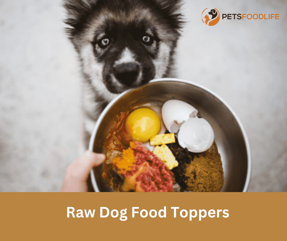 Raw Dog Food Toppers