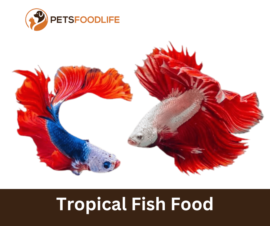 Tropical Fish Food