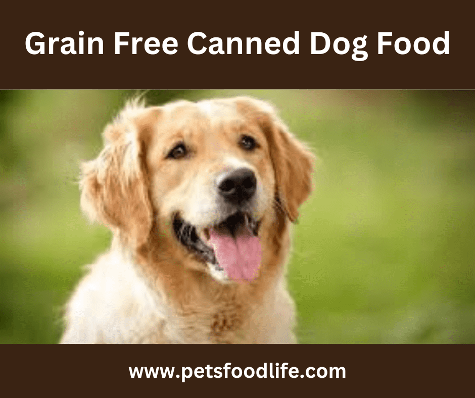 grain-free-canned-food