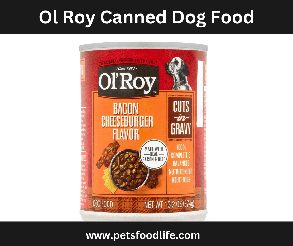 ol roy canned dog food