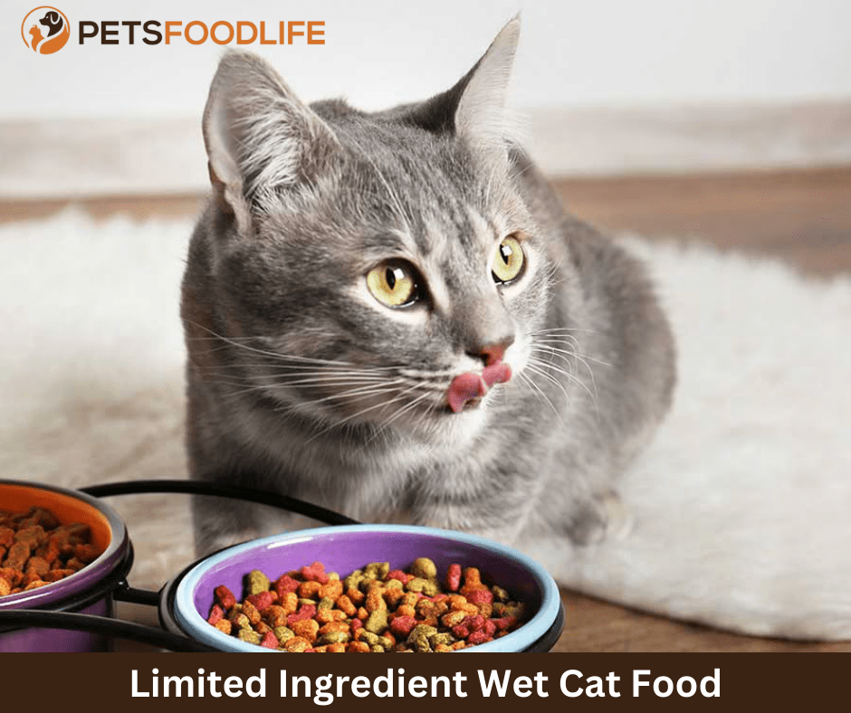 High-Quality Limited Ingredient Wet Cat Food: Premium Nutrition for Cats