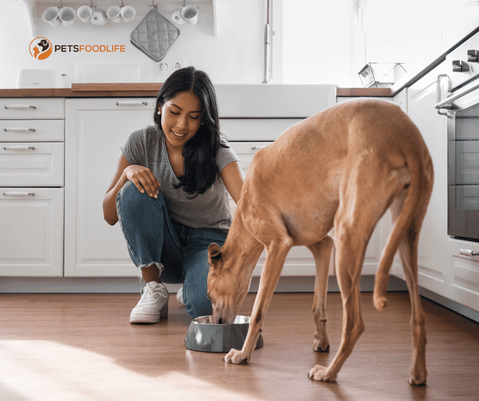 Best Dog Food for Dogs with Muscle Problems: A Comprehensive Guide