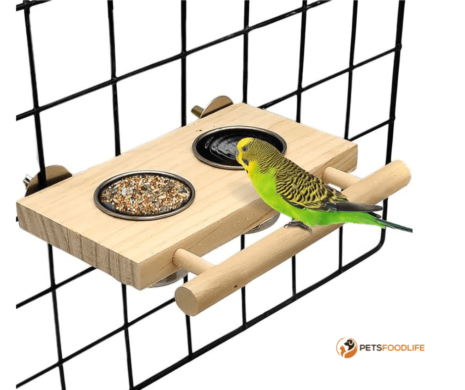 Pet Bird Food Suppliers