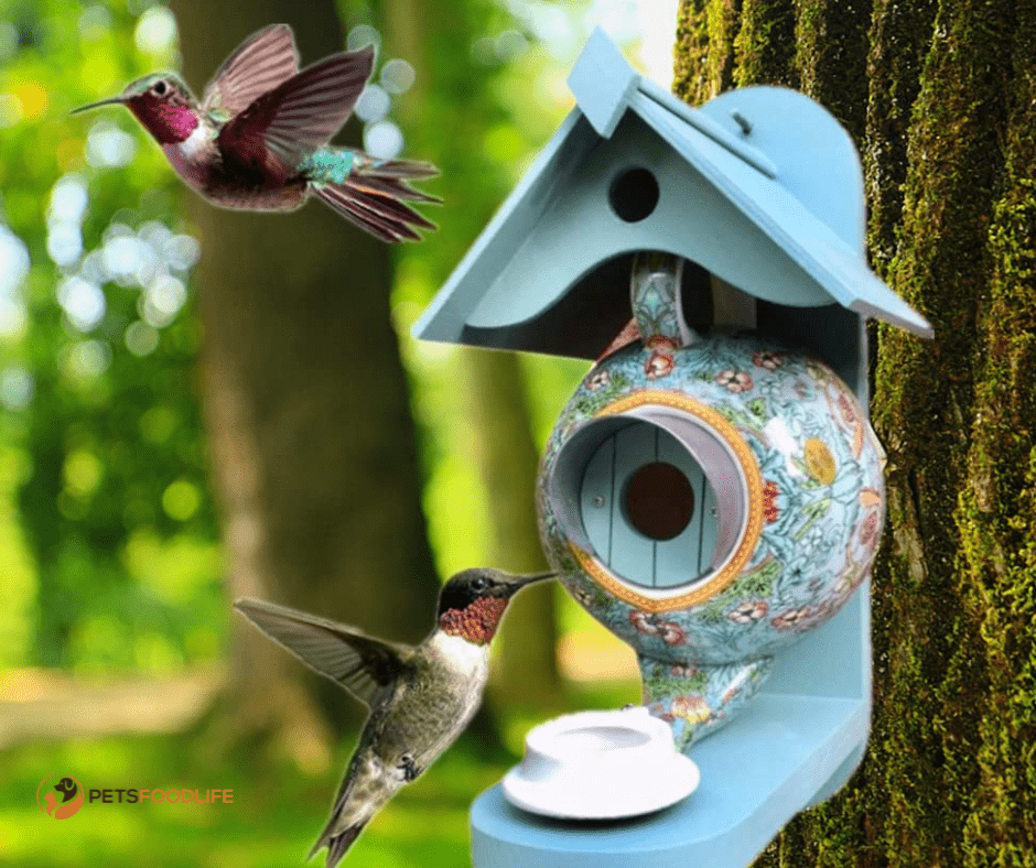 Expert Tips for Choosing the Best Pets at Home Bird Food