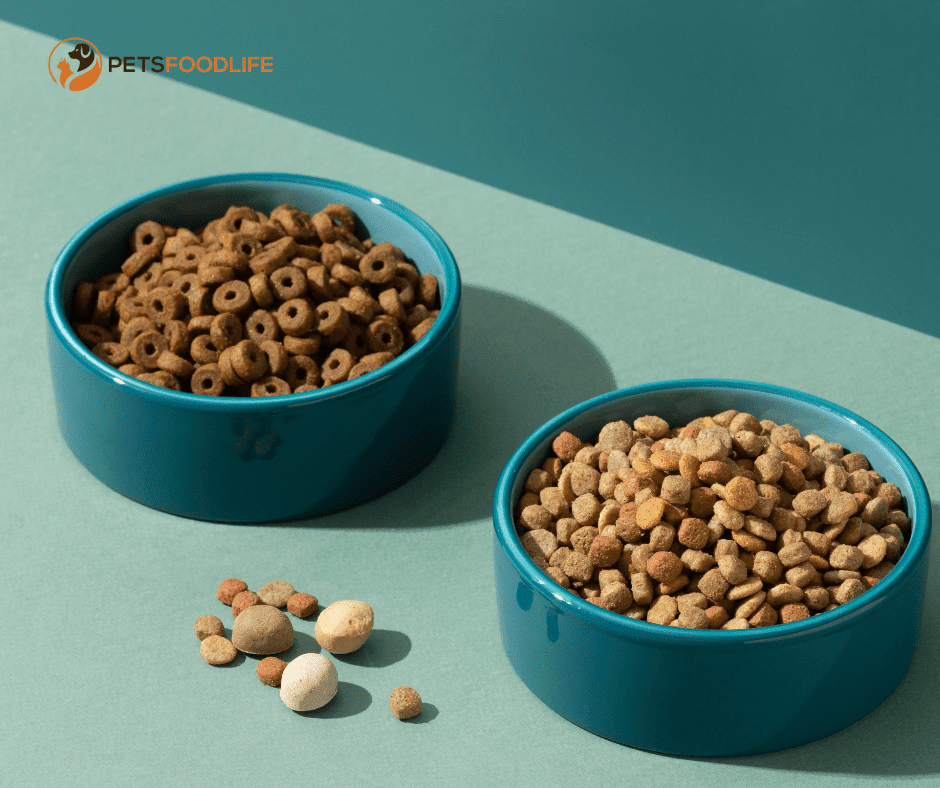 raised cat food bowls