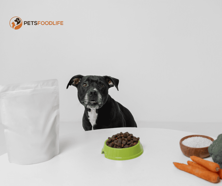 Best Dog Food Container: The Ultimate Guide to Freshness and Prevention