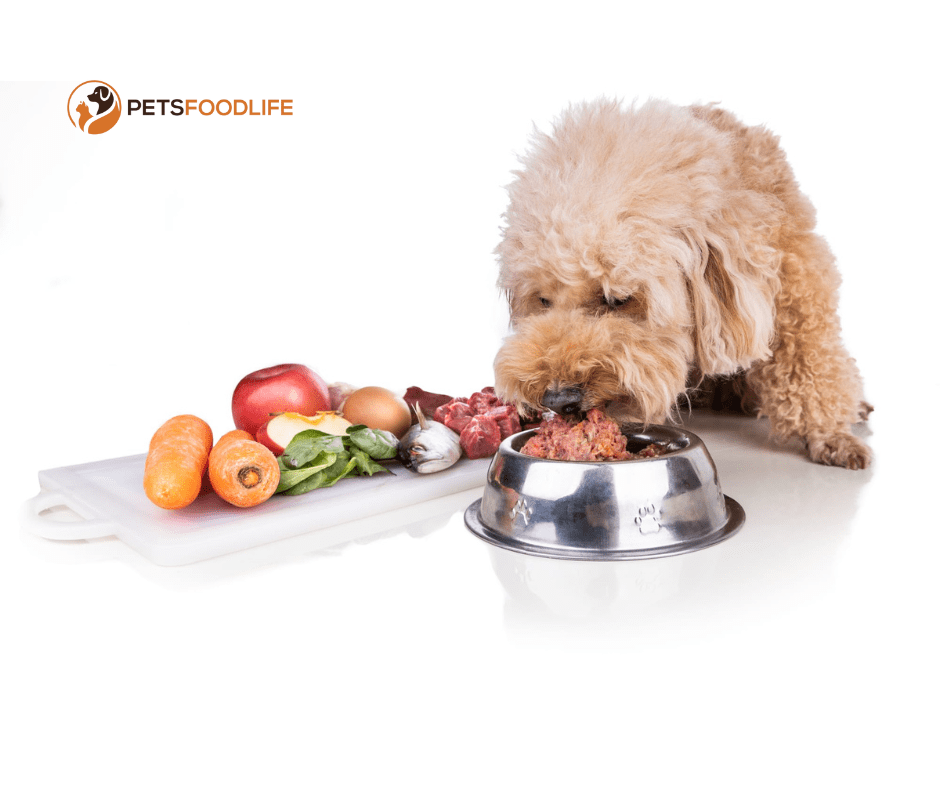 best dog food for gassy dogs