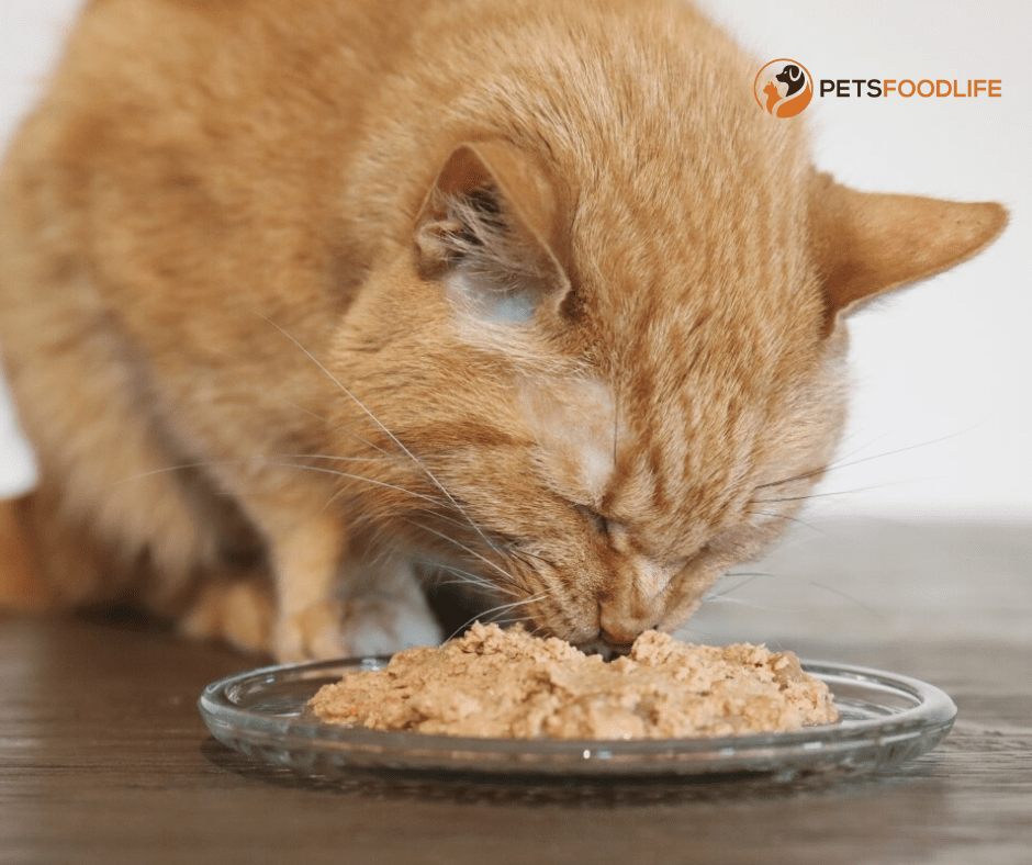 Cat Food Comparable to Pet Pride Pate: A Complete Guide for you cat