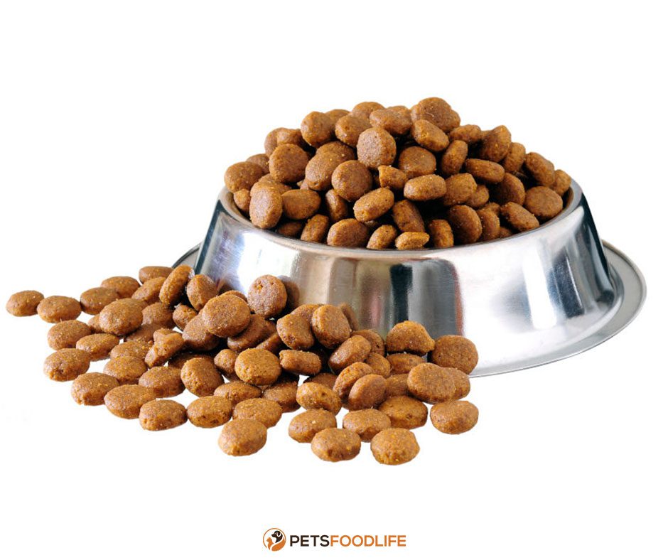 Air-Dried Dog Food: A Comprehensive Guide
