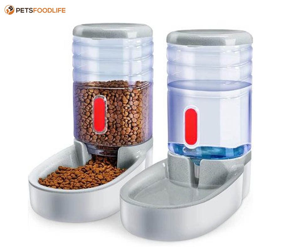 Best Dog Food and Water Dispensers: Keep Your Pet Hydrated
