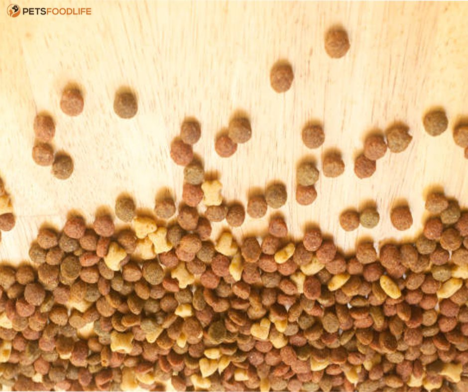 Raw Freeze Dried Dog Food: A Comprehensive Guide