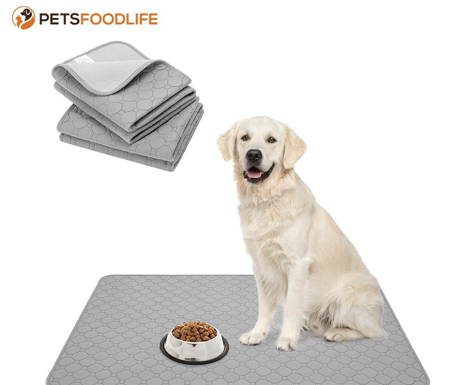 Best Dog Mat for Food: Non-Slip & Waterproof Options