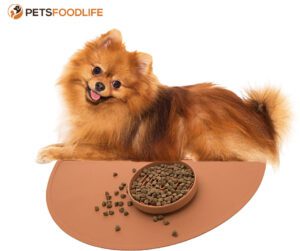 dog mat for food1