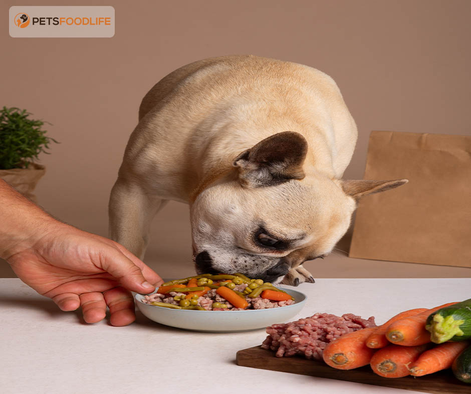 Superfood Complete Dog Food: A Nutrient-Rich Diet for Dogs