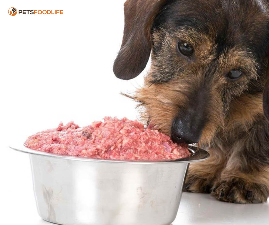 Texas Made Raw Dog Food: A Natural Option for Your Pet