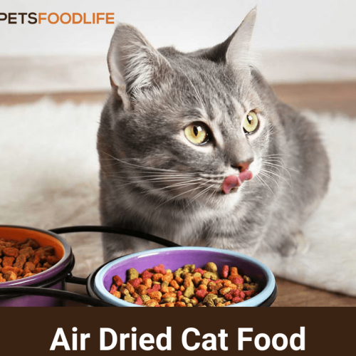 Premium Air Dried Cat Food for Feline Health