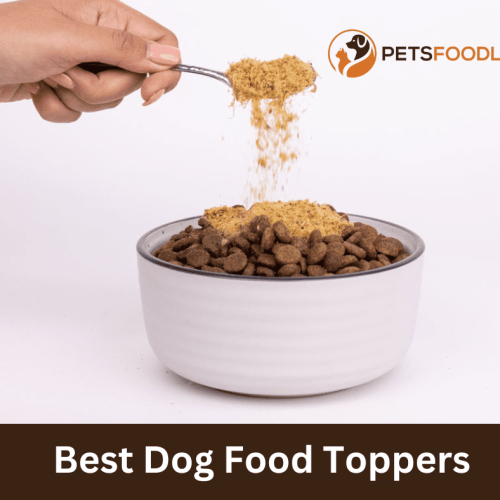 Best Dog Food Toppers: Enhance Your Pup’s Meal Today