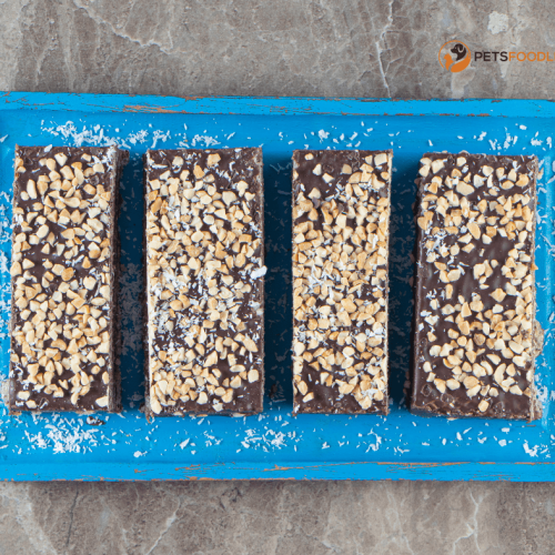 Bird Seed Blocks: A Useful and Healthy Way to Feed Wild Birds