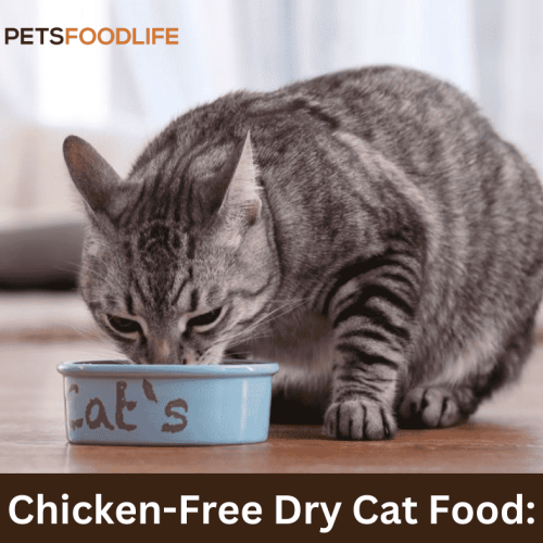 Chicken Free Dry Cat Food: The Best Alternatives for Your Cat