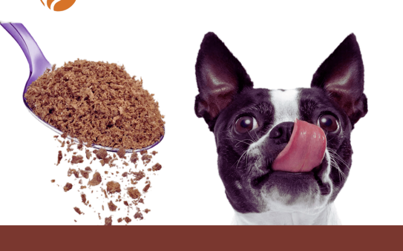 Dog Food Toppers Powders: Boost Your Dog’s Immune System