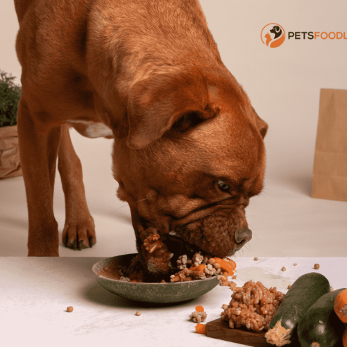 Dog Food with Rice and Lamb: A Nutritional Choice for Your Dog