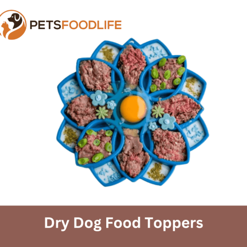 Dry Dog Food Toppers: Boost Your Dog’s Appetite and Health