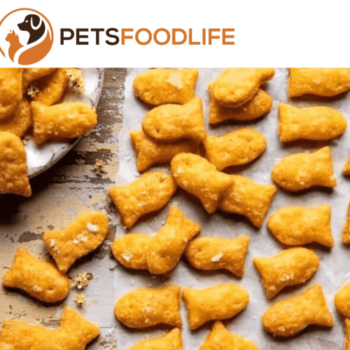 Ultimate Guide to Homemade Goldfish Food: Benefits and Uses