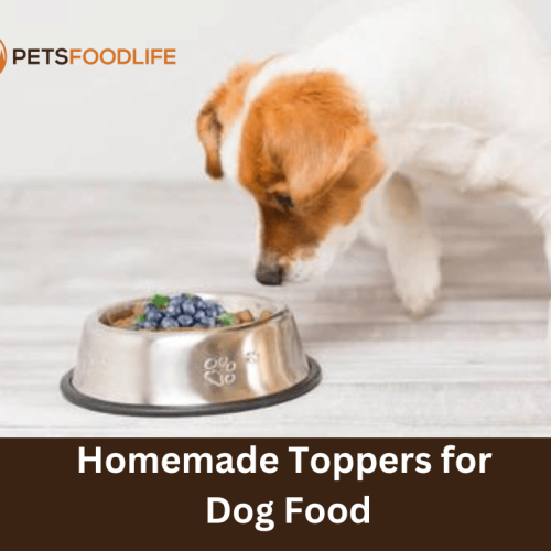 Homemade Toppers for Dog Food: Boost Your Pet’s Nutrition