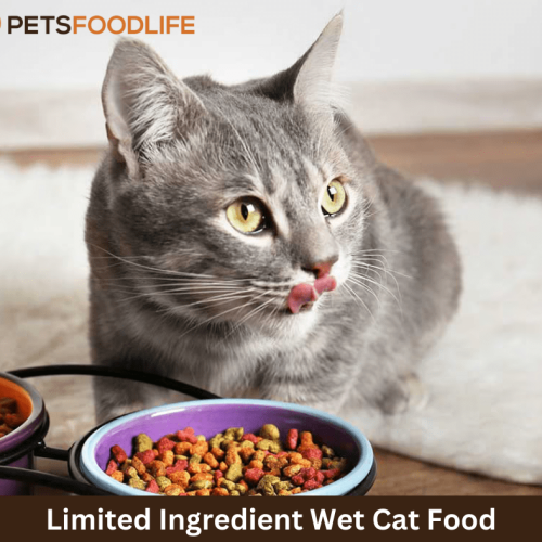 High-Quality Limited Ingredient Wet Cat Food: Premium Nutrition for Cats