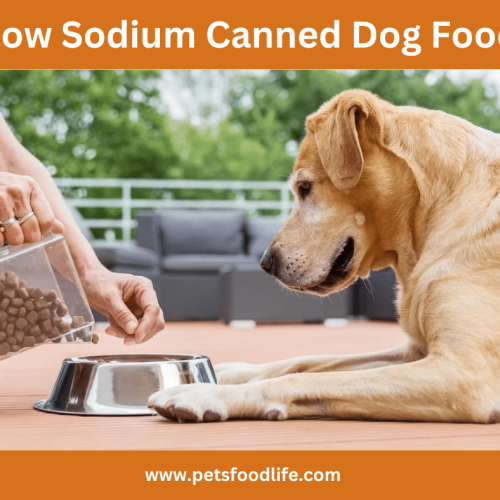 Low Sodium Canned Dog Food: Healthier Choices for Your Pet