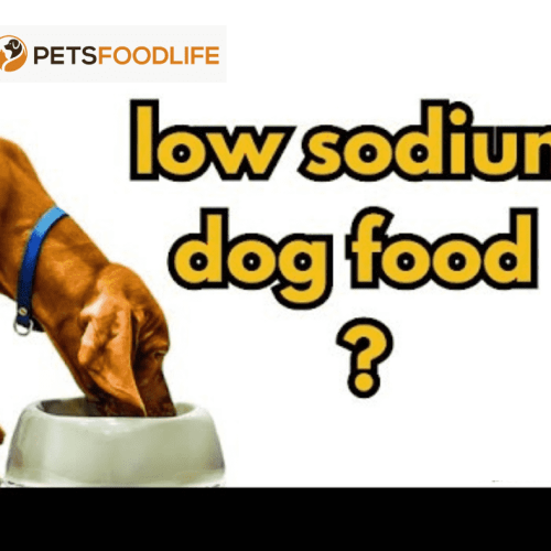 Low Sodium Dog Food: Essential for Heart and Kidney Health