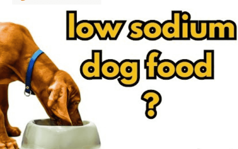 Low Sodium Dog Food: Essential for Heart and Kidney Health