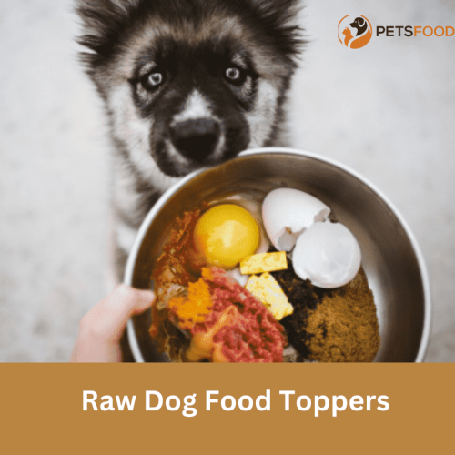 Raw Dog Food Toppers: Enhancing Your Dog’s Nutrition