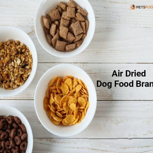 Air Dried Dog Food Brands: Top Choices for Healthier Pets