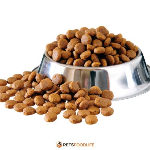 Air-Dried Dog Food: A Comprehensive Guide