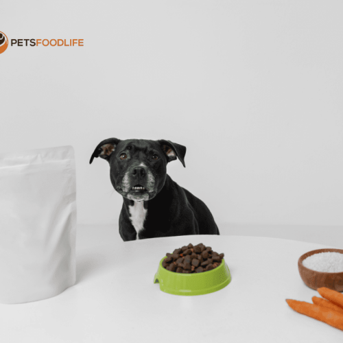 Best Dog Food Container: The Ultimate Guide to Freshness and Prevention