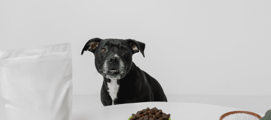 Best Dog Food Container: The Ultimate Guide to Freshness and Prevention