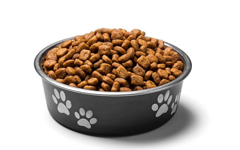 Best Dog Food Bowls: A Comprehensive Guide