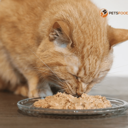 Cat Food Comparable to Pet Pride Pate: A Complete Guide for you cat