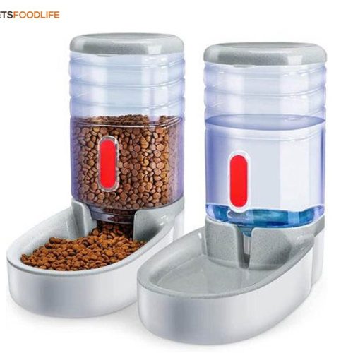 Best Dog Food and Water Dispensers: Keep Your Pet Hydrated