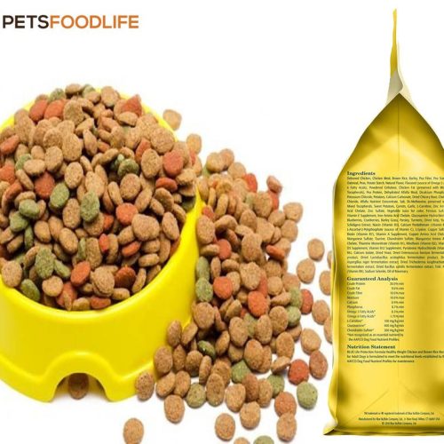 Affordable and Nutritious Dog Food in a Yellow Bag