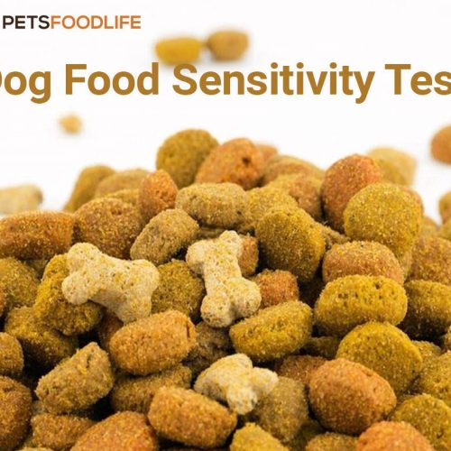 Dog Food Sensitivity Test: Identify and Manage Food Allergies Easily